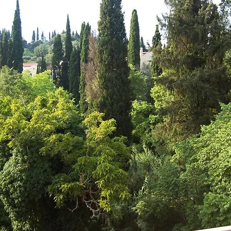 Vasiliki's Penthouse Διαμέρισμα